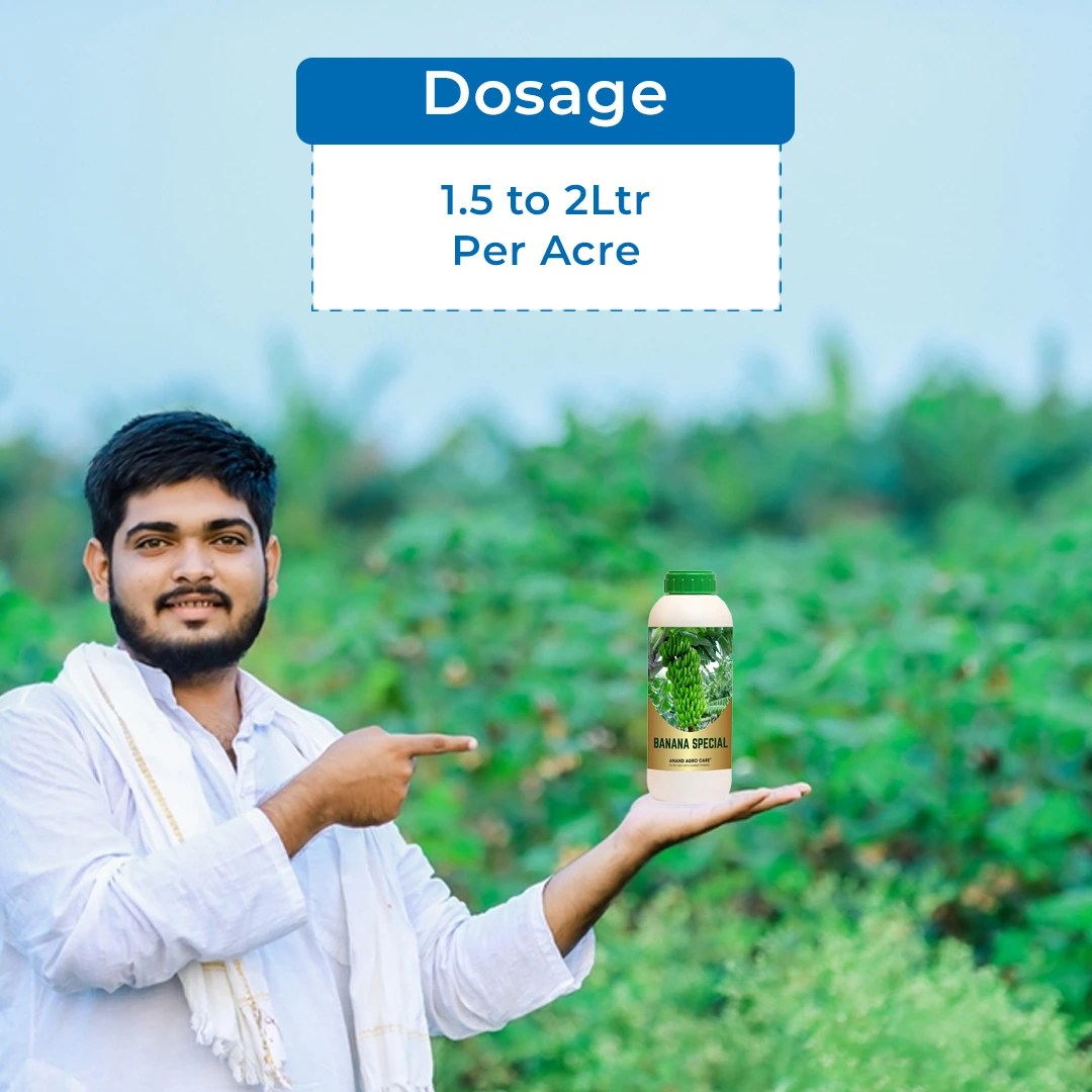 Anand Agro Care Banana Special (PGR For Banana), Increase The Natural Size, Attractive Color And Length Of Finger. - Image 5