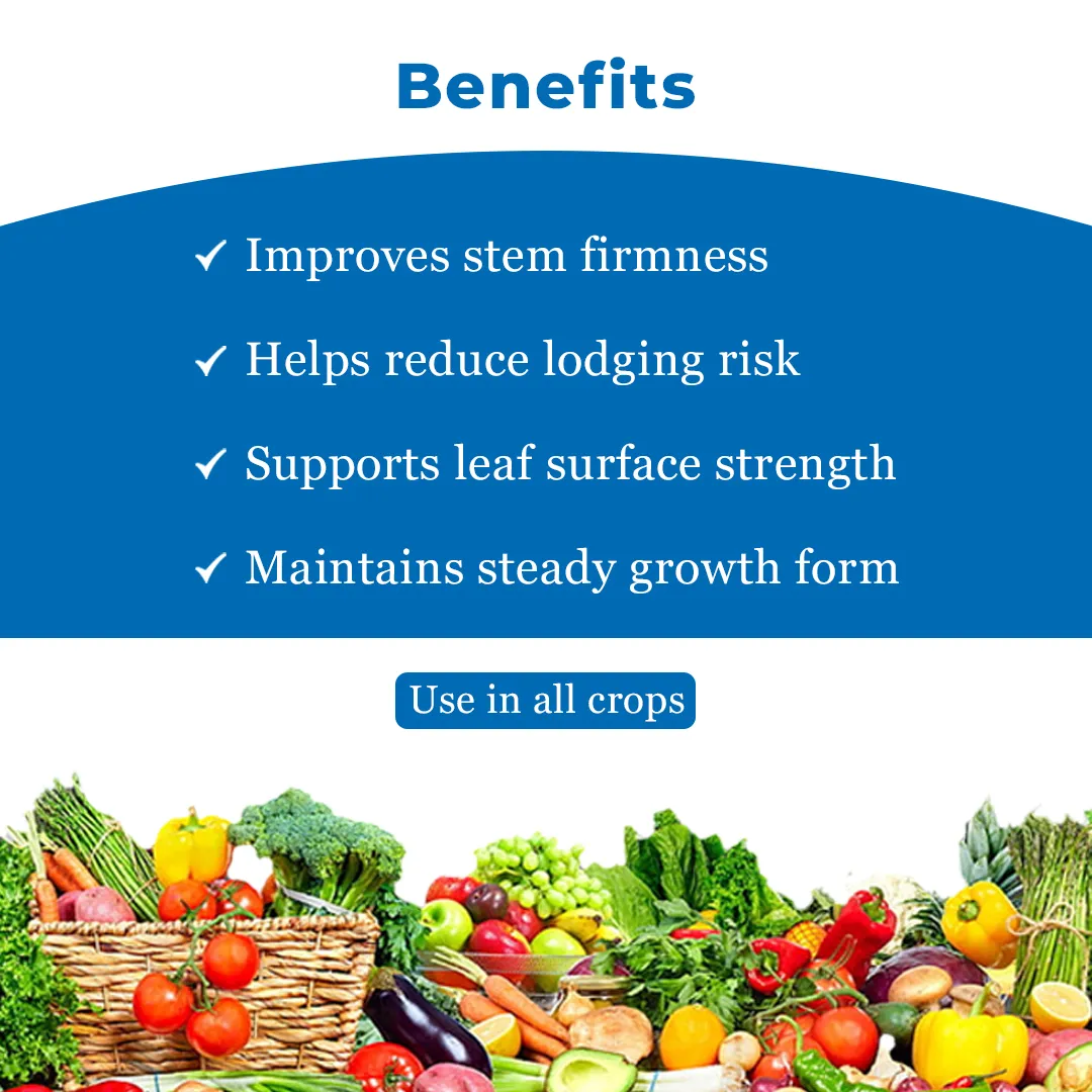 आनंद सिल (कोलोइडल सिलिका) - पौधों की वृद्धि संवर्धक, प्रकाश संश्लेषण की प्रक्रिया को तेज करता है, पोषक तत्वों की उपज और अवशोषण को बढ़ाता है। - Image 4