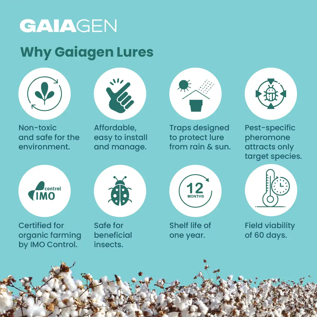 Gaiagen Tobacco Caterpillar (Spodoptera Litura) Pheromone Lure And Insect Funnel Traps, IMO Certified. - Image 8