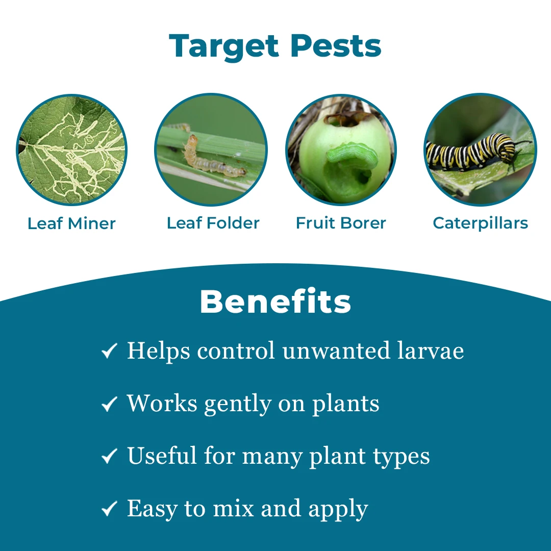 EBS Bacillus Thuringiensis Bio Larvicide, For All Plants And Home Garden, Ecofriendly, Effective Against All Lepidopteran Caterpillars - Image 3