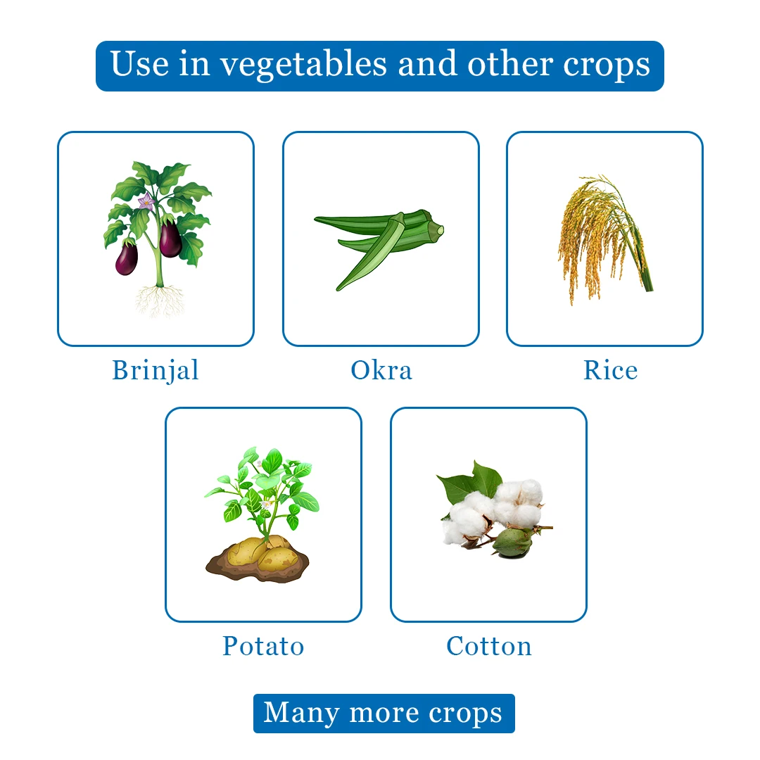 Dhanuka Areva Super Insecticide - Image 4