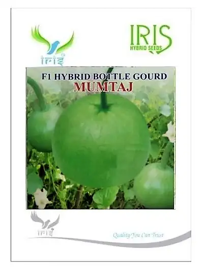 Iris Hybrid Vegetable Seeds F1 Hybrid Mumtaj Bottle Gourd Seeds, Lauki Ke Beej, Available In Different Shape.