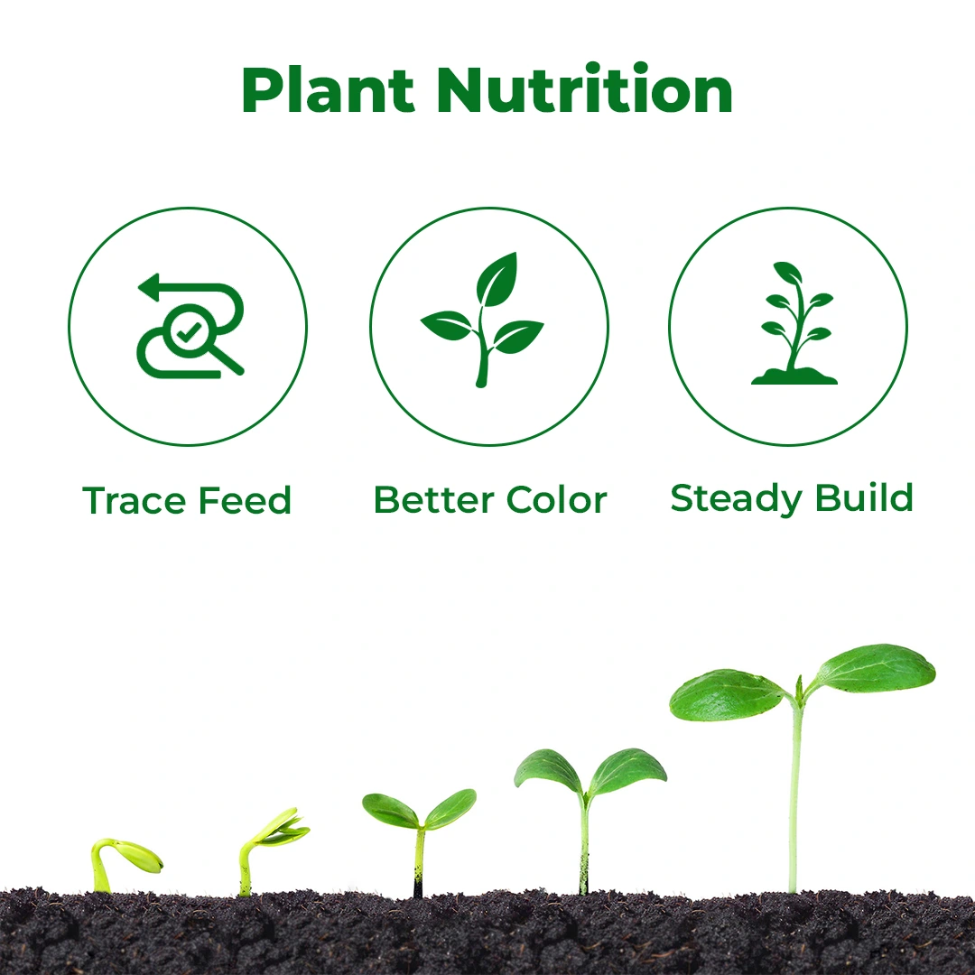 एग्रीवेंचर सर्व शक्ति प्लस मिक्स माइक्रो न्यूट्रिएंट (ग्रेड 4), 100% आयातित पानी में घुलनशील बूंद से सिंचाई उर्वरक, सभी सब्जियों और फलों के लिए उपयोग - Image 3