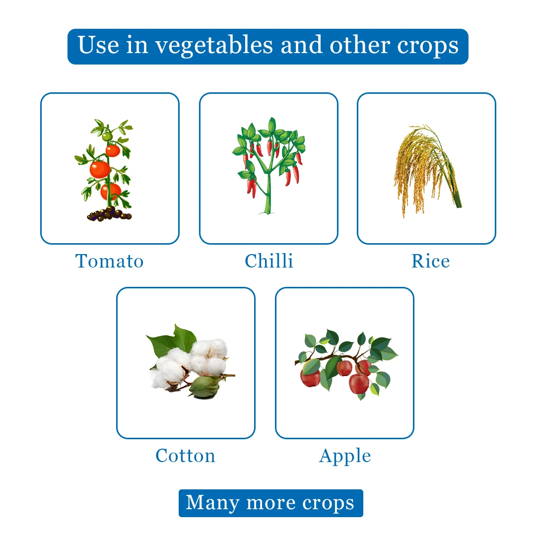 Pi SANIPEB Propineb 70% WP Preventive Fungicide, Control Fungal Disease of Downy Mildew, Early & Late Blight And Scab Etc - Image 4
