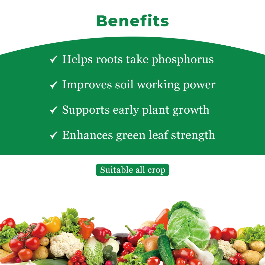 डॉ. बैक्टो पीएसबी - फॉस्फेट घुलनशील जीवाणु, ऑर्गेनिक उर्वरक, सुरक्षित, पर्यावरण के अनुकूल और किफायती कृषि इनपुट - Image 4