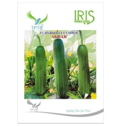 Urcari☆ 25A 1 Krushi make SSR, Model Name/Number: 100ZDA25, DC at