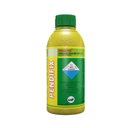 Новая Каховкада ақша үшін секс