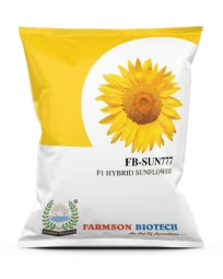 Sunflower Seeds of Farmson Biotech Pvt of Farmson Biotech Pvt