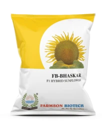 Sunflower Seeds of Farmson Biotech Pvt of Farmson Biotech Pvt
