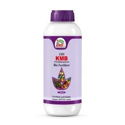 Mittilarning ruscha porno videolarini tomosha qiling