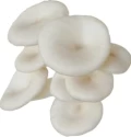श्रूमनेस व्हाइट ऑइस्टर मशरूम कल्चर टेस्ट-ट्यूब में (50 ग्राम), 100% साफ, सक्रिय माइसीलियम