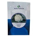 Advanta ALBUS F1 Hybrid Cauliflower Seeds, High Yield Variety, Ideal For Kharif, Rabi And Summer