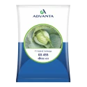 Advanta GS 455 F1 Hybrid Cabbage Seeds, Round Head, Black Rot Tolerance And High Yield