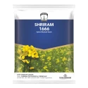 Shriram 1666 Hybrid Mustard Seeds, Sarso Ke Beej, Excellent Yield And Good Oil Percentage