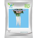 Iris SAKI F1 Hybrid Radish Seeds, Early Maturing, Mild Pungent & Heat Tolerant