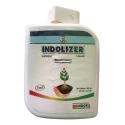 Indofil Indolizer Bioactive Nutrient, Boosts Plant Growth, Bio Stimulant Boost Plant Development