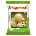 Sagar DHRUVI F1 Hybrid Muskmelon Seeds, High Yield, Orange Flesh, Fusarium Wilt Tolerant