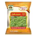 Jakson 101 Research Fennel Seeds, Early Maturing And High Yield Variety, Ideal For Rabi Season Season