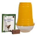 WAVAR Fruit Fly Trap with Bactrocera  Cucurbitae Lure, Effective For Melon Fruit Fly Control In Cucurbit Crops