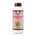EBS Azotobacter Spp. Bio Fertilizer, Use for Plants, Crops, Nursery & Home Garden