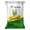JK PUKHRAJ Yellow Mustard Seeds, Thick Shiny Grains And High Oil Content Variety