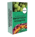 Katyayani Metarhizium Anisopliae Bio Insecticide, (Powder) Talcum Based Powder Formulation Used For Effective Pest Control