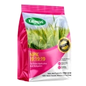  Katyayani NPK 19:19:19 100% Water Soluble Fertilizer for All Plants & Home Garden