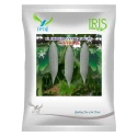 Iris CHARLIE F1 Hybrid Snake Gourd Seeds, High Yield And Light Green Vegetable, Long, Slender, And Cylindrical