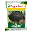 Sagar SHAKTIMAN F1 Hybrid Watermelon Seeds, Dark Black Oval Fruits, High Yield & Early Maturity