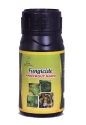 Zeal Biological Knock Out Nano Fungicide, Targets And Controls A Wide Range of Fungal Diseases.