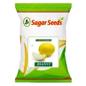 Sagar JHANVI F1 Hybrid Muskmelon Seeds, High Yield, Fusarium Resistance And Sweet Oblong Fruits