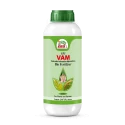 EBS VAM Bio Fertilizer (Vesicular Arbuscular Mycorrhizal) To Improve Soil Fertility In Your Farm & Garden