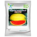 Iris IHS-2700 F1 Hybrid Watermalon Seeds, Bright Red Flesh with High Sweetness, Early Maturity