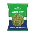 Advanta ADV 427 F1 Hybrid Mustard Seeds, Good Oil Percentage
