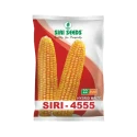 Siri Seed F1 Hybrid 4555 Maize Seed, High Shelling % And Good Grain Weight 