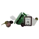 WAVAR Leucinodes Orbonalis Funnel Trap, Efficient For Brinjal Fruit Shoot Borer Pest, Effective Pest Management