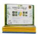 WAVAR A4 Sticky Trap, 12 x 8 Inch, 3mm Thickness, Eco Friendly (Combo Of 20 Yellow + 5 Blue)