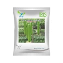 Iris Super-101 F1 Hybrid Bottle Gourd Seeds, High Yield, Cylindrical Shape And Vigorous Growth