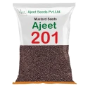 Ajeet-201 Mustard Seeds, Sarso Ke Beej, Excellent Yield And Good Oil Percentage