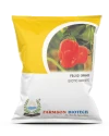 Farmson FB 2122 Orange Habanero Chili Seeds, Mirchi ke Beej, Rippled Lantern in Shape