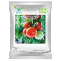 Iris ROCKSTAR F1 Hybrid Tomato Seeds, Early Maturing, TYLCV & Bacterial Wilt Tolerant, Suitable For All Seasons