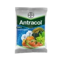 Bayer Antracol Propineb 70% WP, A Contact, Systemic Fungicide with Broad-Spectrum Activity
