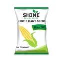 Shine Rise 505 Hybrid Maize Seeds, Makka Ke Beej, High Yield Potential Corn