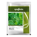 Syngenta Mucio Peas Seeds, Early Maturity, Dark Green Pods, High Yield Variety