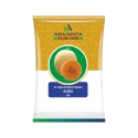 Advanta F1 Hybrid Guru Muskmelon Fruit Seeds, Round and Deep Organge Fruit 
