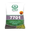 HYTECH 7701 F1 Hybrid Mustard Seeds, Bold Grains, Ideal For Rabi Season Variety