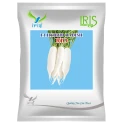Iris RIO F1 Hybrid Radish Seeds, Early Maturity, Mild Pungent Glossy White Variety