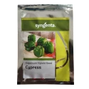 Syngenta Cypress F1 Hybrid Capsicum Seeds, High Yield, Glossy Green Blocky Fruits
