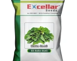 Excellar Ex Hara Saag Spinach Seeds, Ideal For Summer, Rainy, And Early Winter Seasons