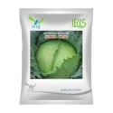 Iris Seoul King F1 Hybrid Cabbage Seeds, High Round, Compact Head And Black Rot Tolerant